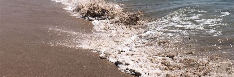 기타 Villa 7 Negombo