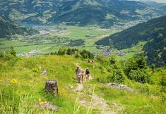 Others 6 Pension Heidi