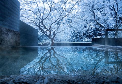 기타 Hoshino Resorts KAI Sengokuhara