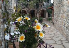 其他 2 Eski Datça Evleri Mini Hotel