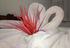 Others 4 Hotel Fazenda Amaragi