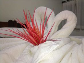 Others 4 Hotel Fazenda Amaragi