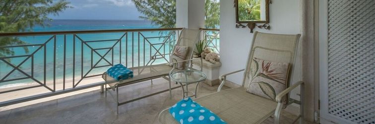 その他 Old Trees 201 - The Casuarinas