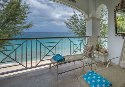 その他 Old Trees 201 - The Casuarinas