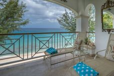 その他 Old Trees 201 - The Casuarinas