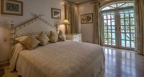 その他 2 Old Trees 201 - The Casuarinas