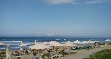 Others 2 Yellow Daisy Villa