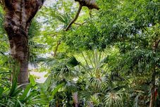 Others Secret garden iguazu