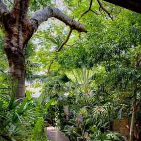 Primary image 1 伊瓜苏秘密花园酒店, 坦克雷多·内维斯大桥 酒店