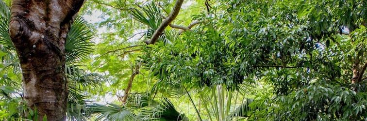 其他 Secret garden iguazu