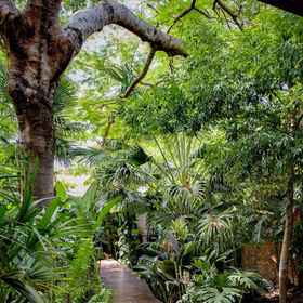 Primary image 1 Secret garden iguazu, Departamento de Iguazú Hotels