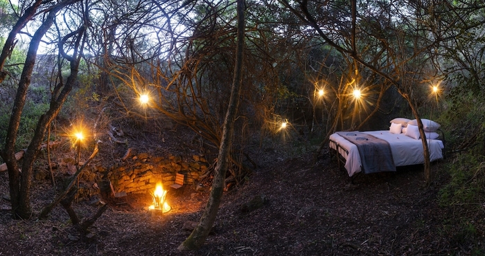 Others Stargazer Camp - Bellevue Forest Reserve