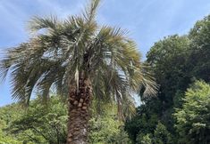 Others 7 Hotel Asia - Adults Only