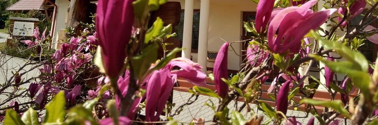 อื่นๆ Gosciniec Pieciu Stawow