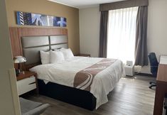 其他 7 Quality Inn & Suites New Hartford - Utica