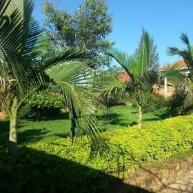 Imej utama 1 786 Riverside Acres, Jinja Hotels