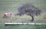 Others 2 Donegal Farmstay