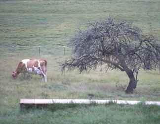 Khác 2 Donegal Farmstay