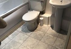 其他 7 The Rhinos 5