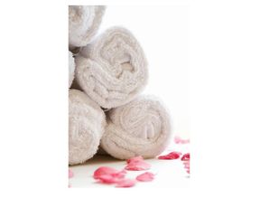 其他 4 The Rhinos 5