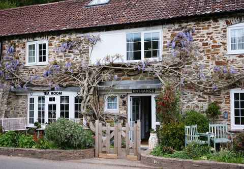 Others The Bark House