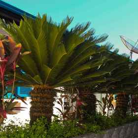 Primary image1瑪洛柯旅館,塔马尔项目飯店