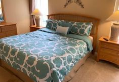 其他 6 Solana 1316