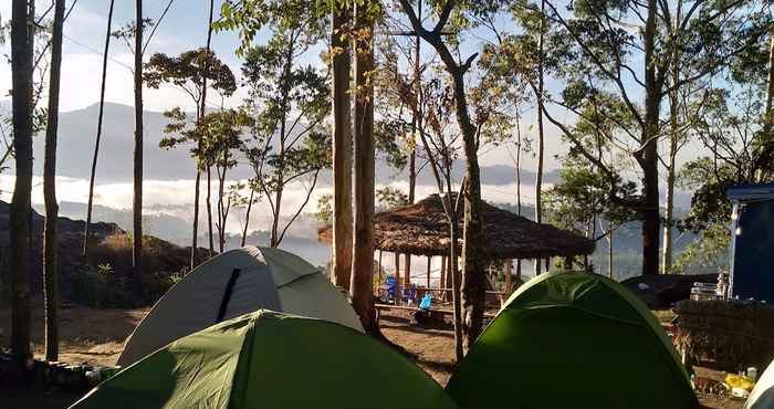 Others Munnar Jungle Camp