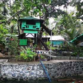 Primary image1自然綠色森林渡假村,奥罗拉省飯店