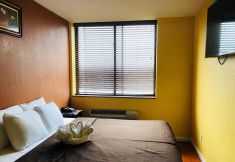 Others 7 The Vue Hotel Express