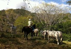 기타 3 Fidelito Ranch & Lodge