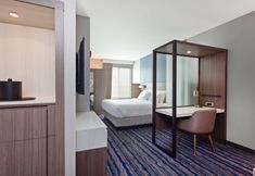 기타 4 SpringHill Suites by Marriott Escondido Downtown