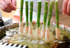 Others 7 Re Cove Hakone