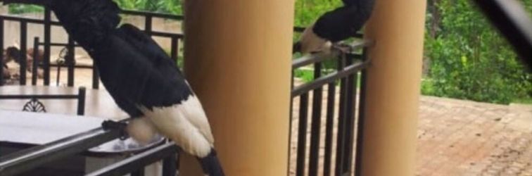 기타 Lake Victoria View Lodge