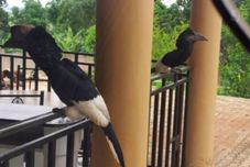 기타 Lake Victoria View Lodge