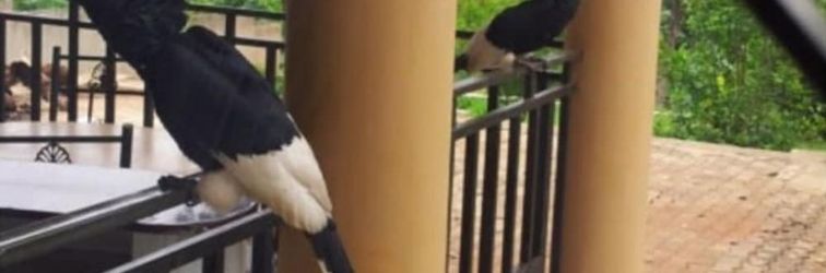 Others Lake Victoria View Lodge