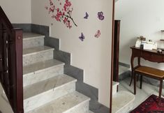 Others 2 B&B Galletto