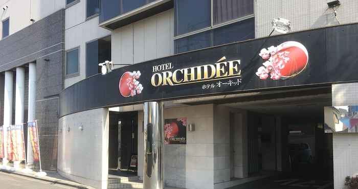 Lain-lain Hotel Orchidee - Adult Only