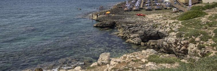 其他 Il Molo - new Solution Close the sea