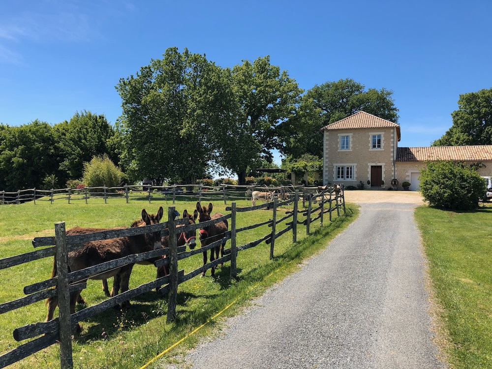 ภาพหลัก Domaine de Chalamard - Chambres d'hôtes