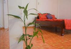 อื่นๆ 7 Sok Phen Homestay