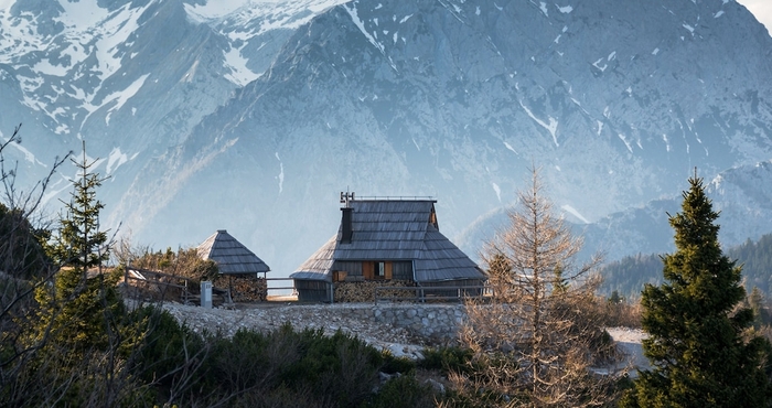 Others Koca Ojstrica - Velika planina