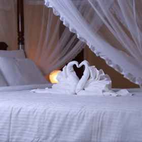 Primary image 1 Villa Ana, Gampaha Division Hotels