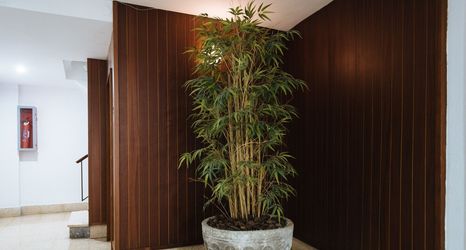 Others 2 Light of Sevilla 2