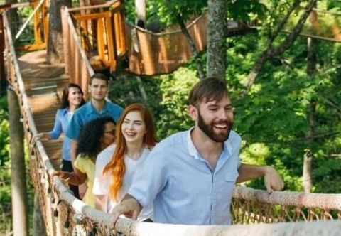 기타 Whispering Pines 352hc