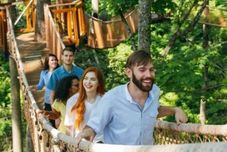 기타 Whispering Pines 352hc