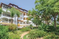 Lain-lain Dama de Noche