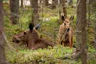 Lain-lain Älgparkens Stugby