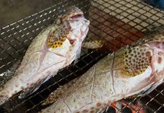 기타 7 Guest House AMA TERRACE