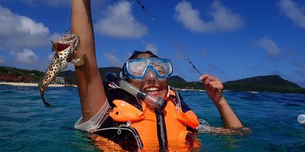 기타 4 Guest House AMA TERRACE